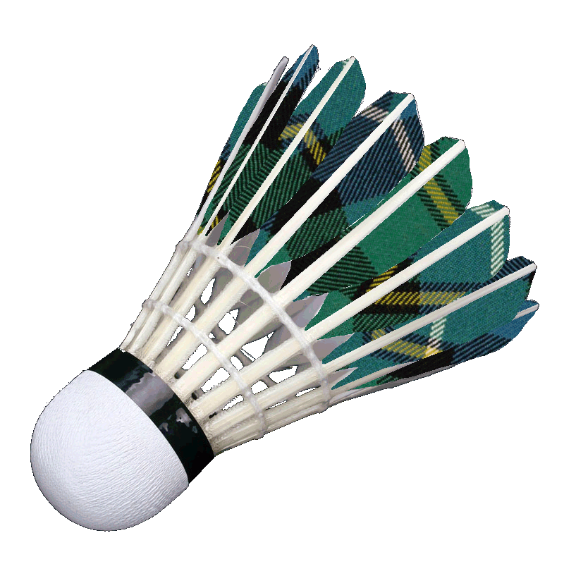 Tartan Badminton Club Edinburgh